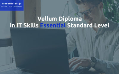 Vellum Diploma in IT Skills Essential Standard Level