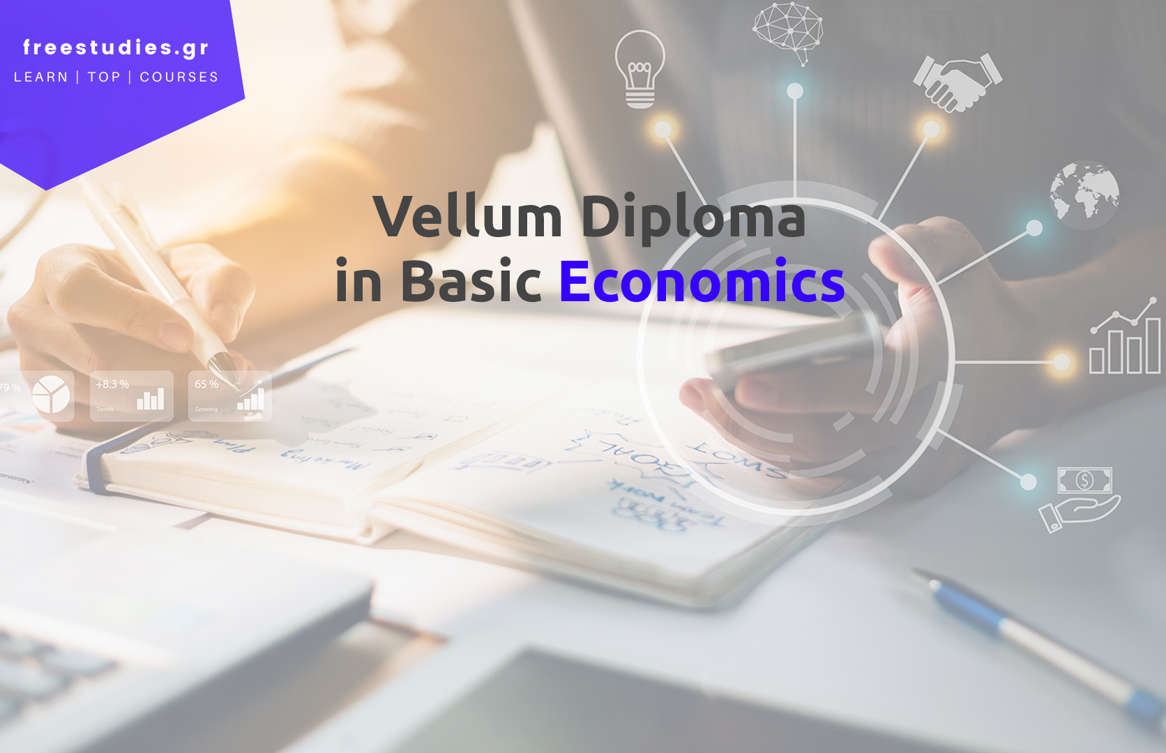 Vellum Diploma in Basic Economics