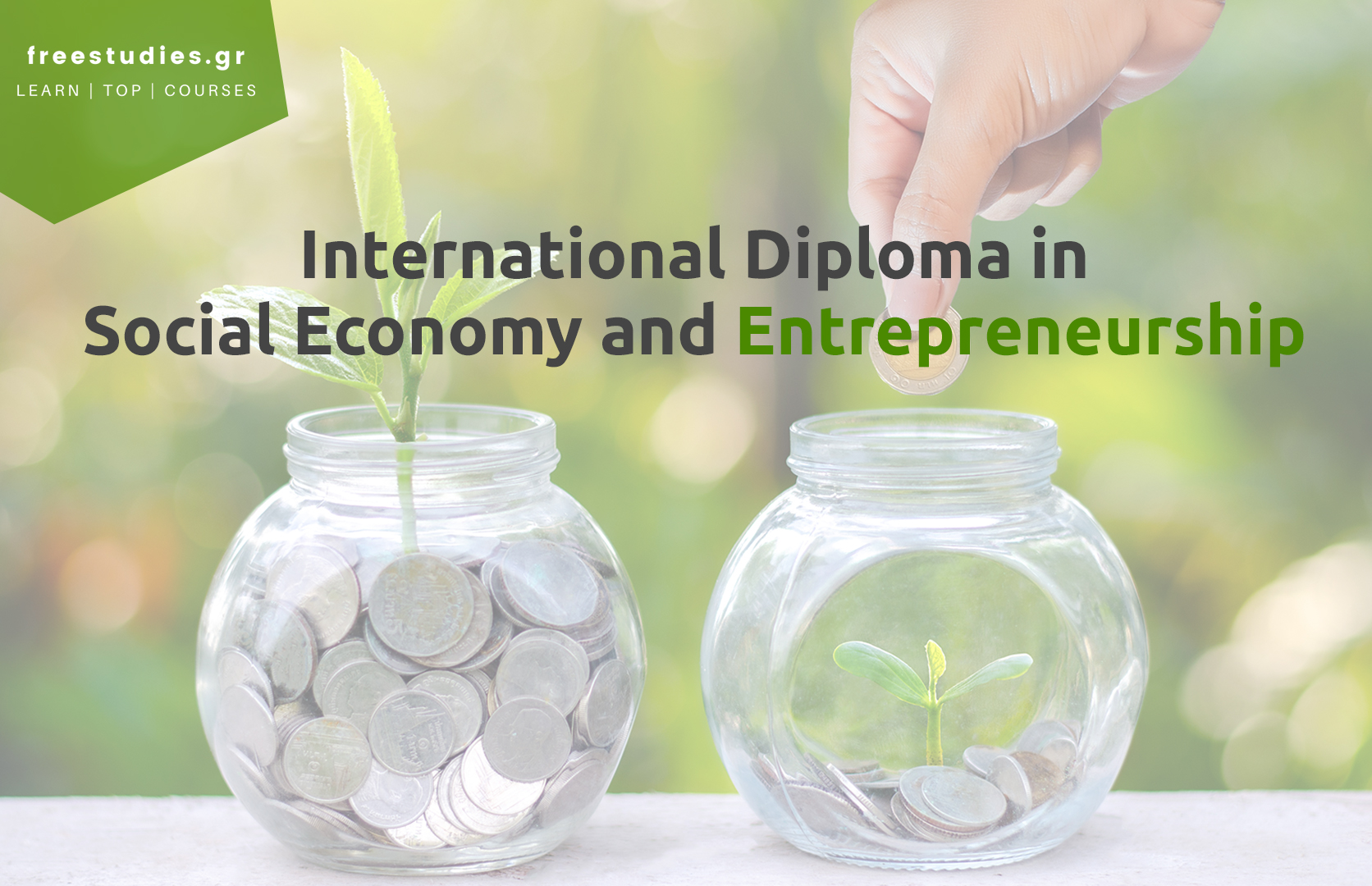 International Diploma in Social Economy and Entrepreneurship